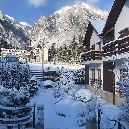 Villa Ermitage Buşteni Exteriör bild