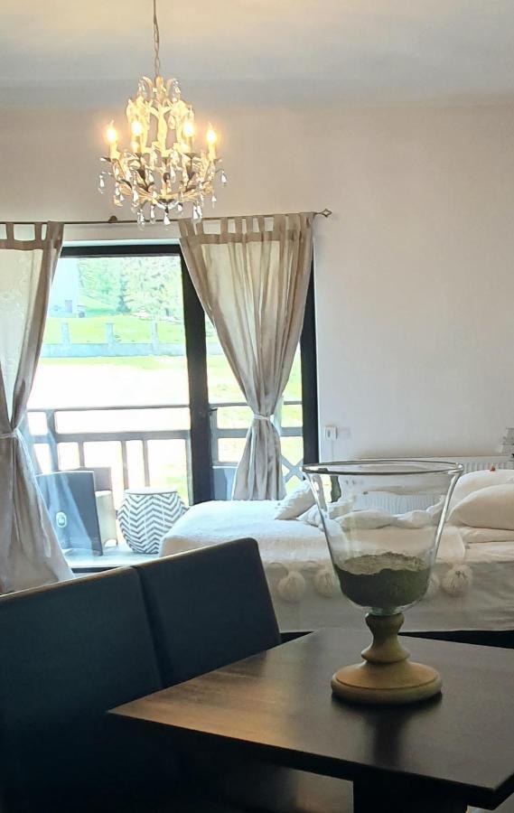 Villa Ermitage Buşteni Exteriör bild