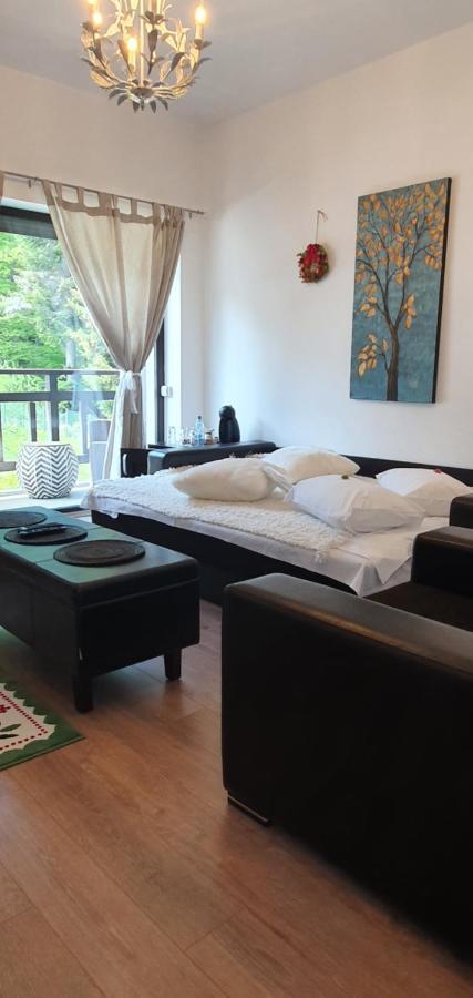 Villa Ermitage Buşteni Exteriör bild