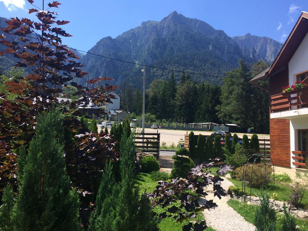 Villa Ermitage Buşteni Exteriör bild