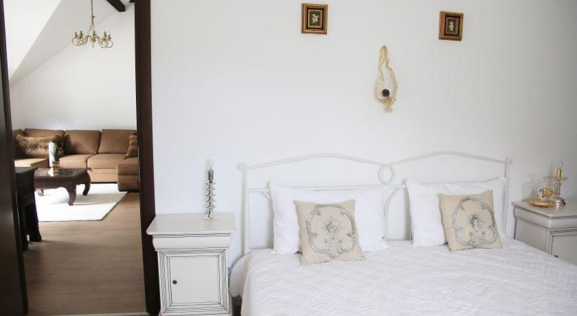 Villa Ermitage Buşteni Exteriör bild
